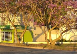 GE Farmacia Eandi 2 300x210