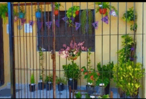 Captura desde 2025 11 18 10 02 18 300x204