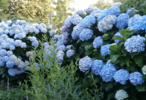 Captura desde 2025 11 18 10 59 02 300x205