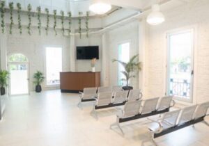 GE Control Urbano 1 300x210