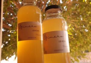 GE Efimero Licored Artesanales 3 300x210