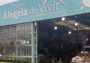 GE Vivero Alegria de Vivir 1 300x210