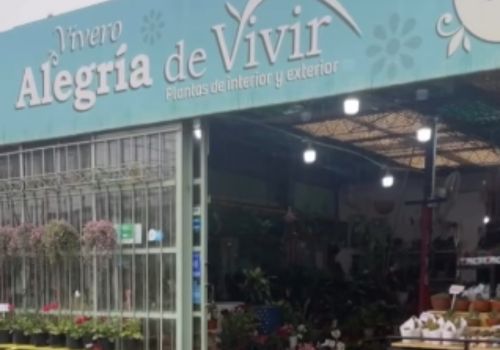 GE Vivero Alegria de Vivir 1